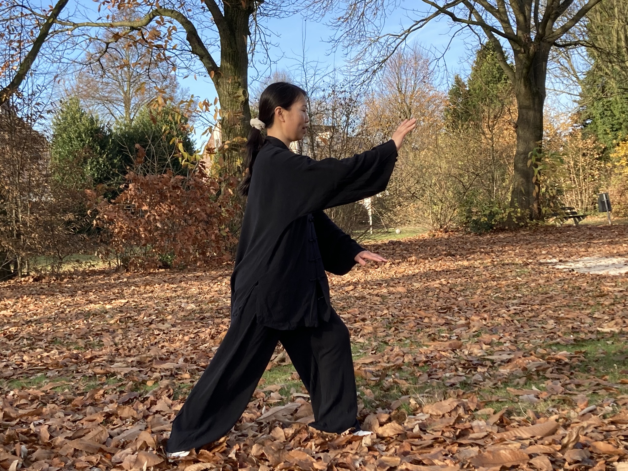 Yang style Taichi with Taoli